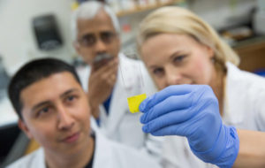 Lewis Marquez 0003 600x380