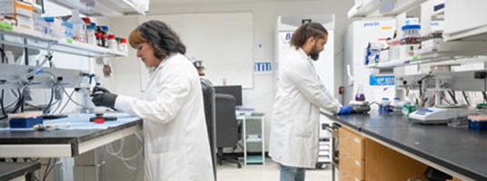 Two students conducting experiments in a scientific lab