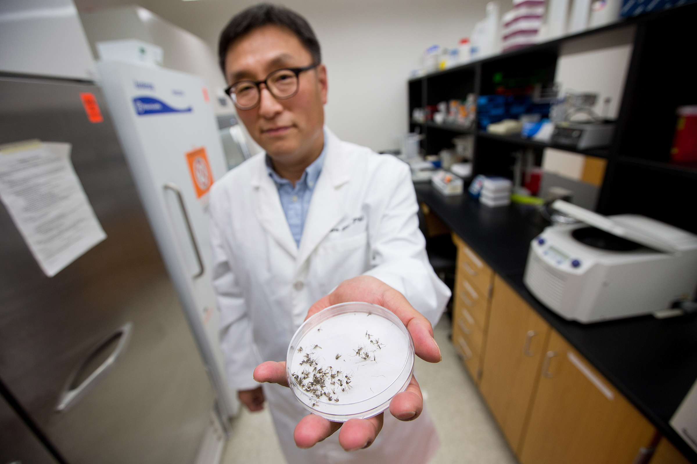 UNT Health Stock 054