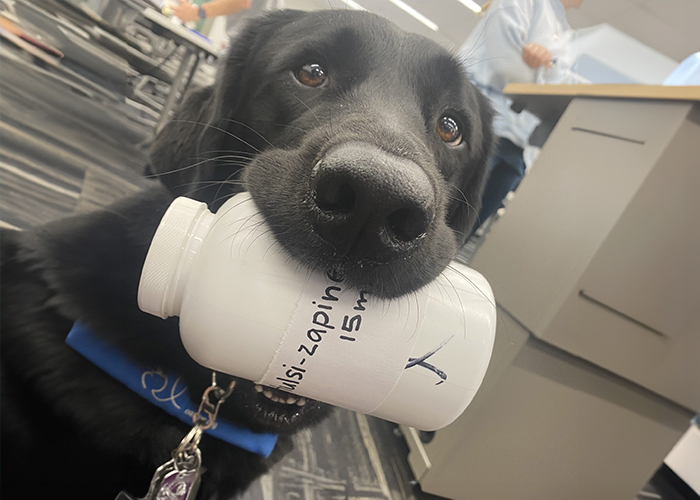 PharmD student has life-changing experience with service dog
