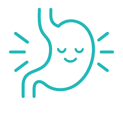 Happy gut icon