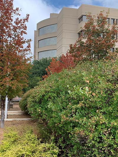 Exterior of Health Pavilion